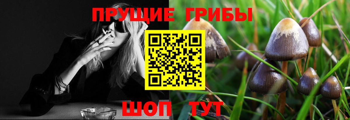 Галлюциногенные грибы мухоморы Сертолово